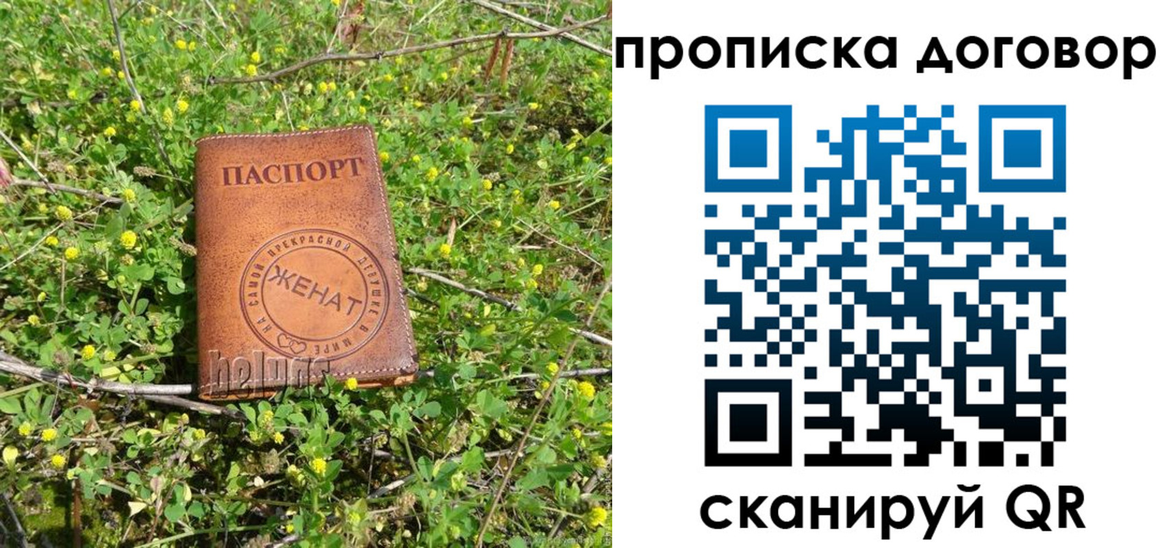 прописка законно в Старом Осколе